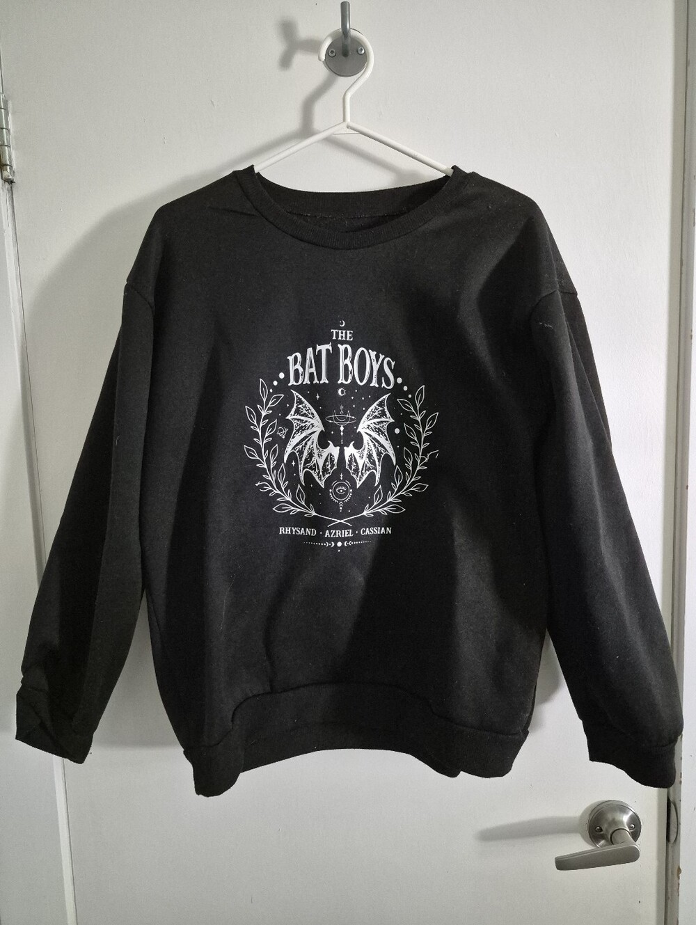 Oversized Fourth Wing Graphic Tee Sweatshirt Shein Large